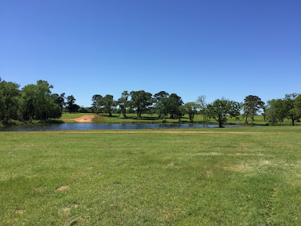 Lakewood Ranch Panorama